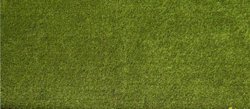 barbara-chambers-garden-artificial-grass-gardenista_2